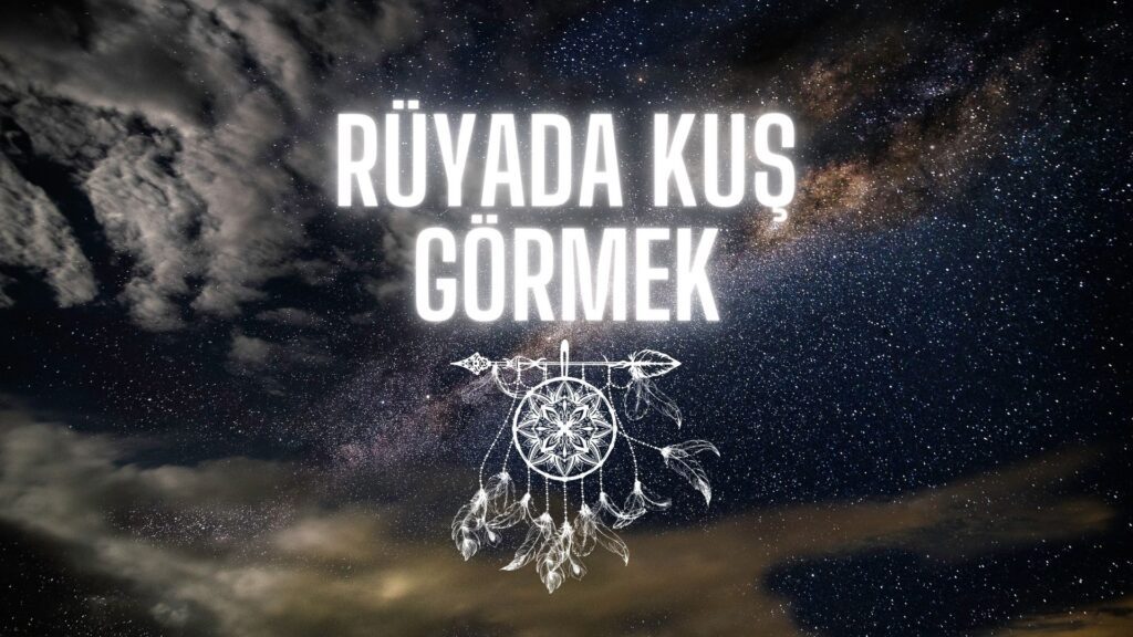 Rüyada Kuş Görmek