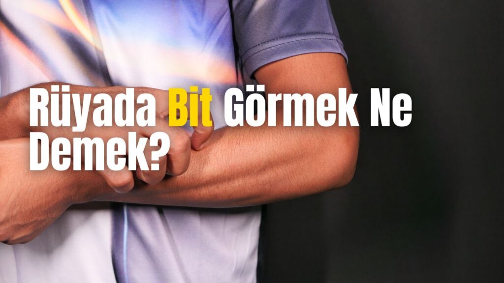 Rüyada Bit Görmek