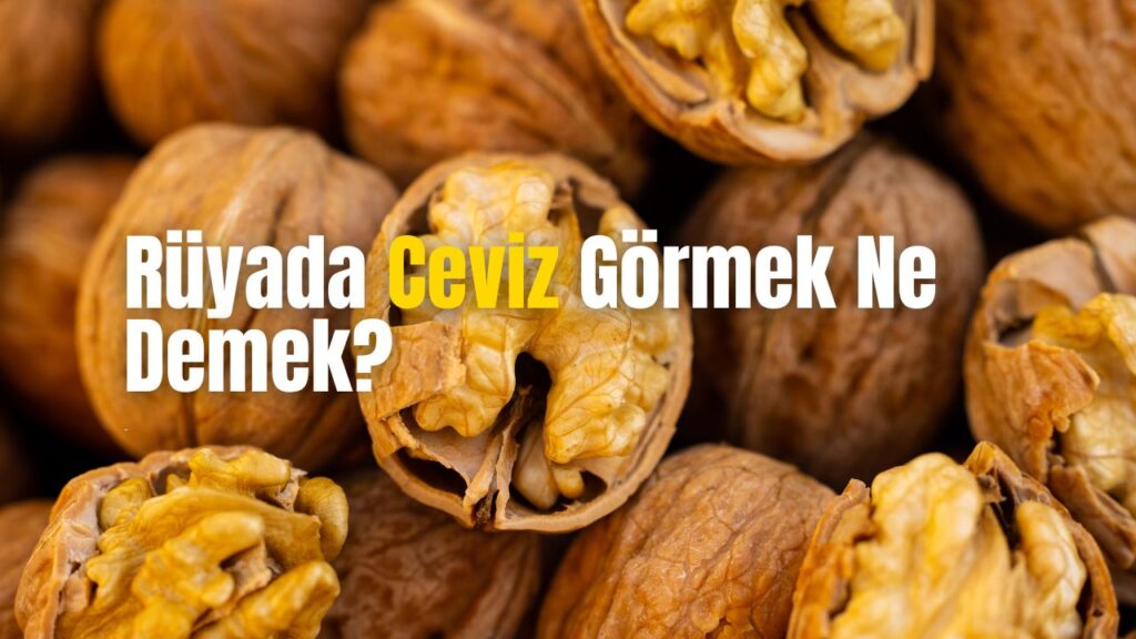 Rüyada Ceviz Görmek