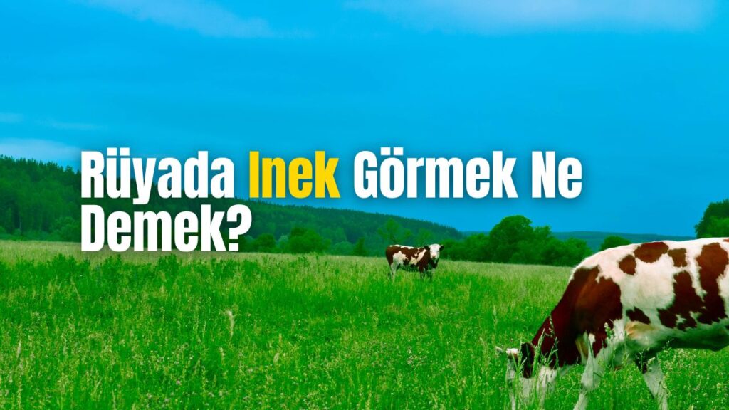 Rüyada İnek Görmek