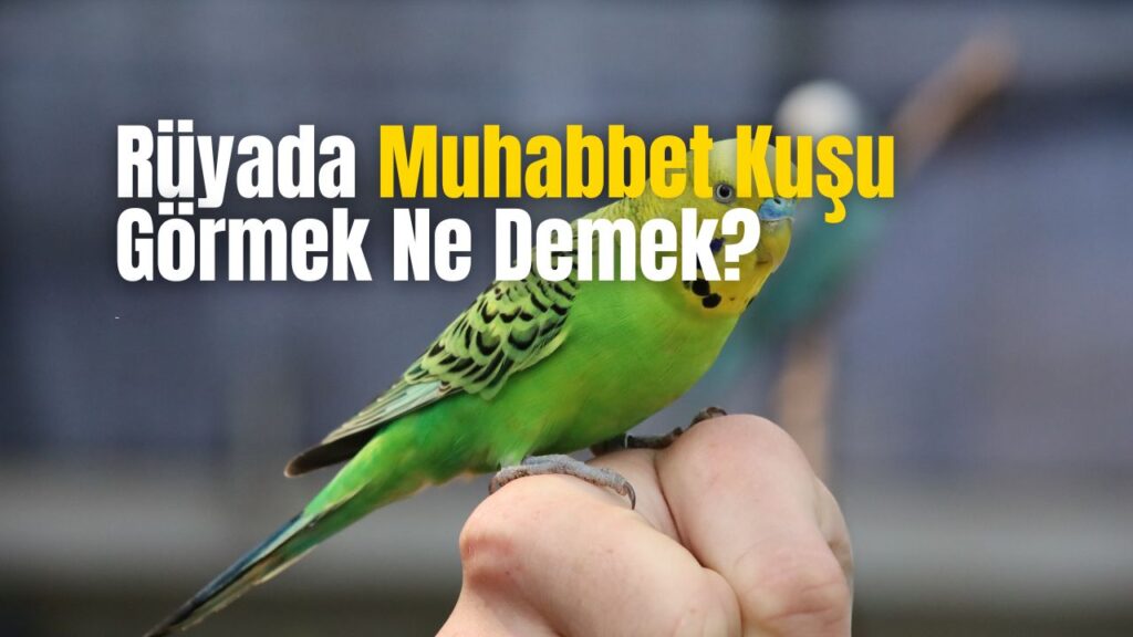 Rüyada Muhabbet Kuşu Görmek