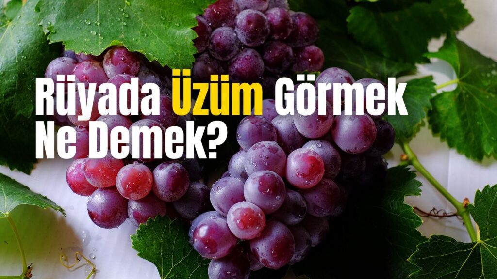 Rüyada Üzüm Görmek Ne Demek?