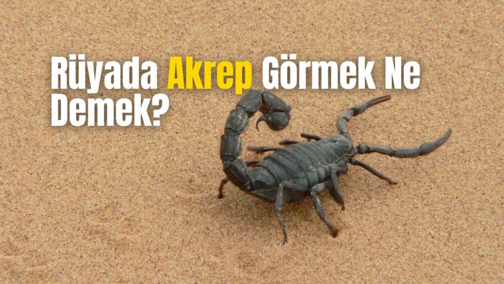 ruyada akrep gormek anlami