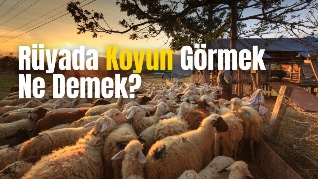 Rüyada koyun Görmek